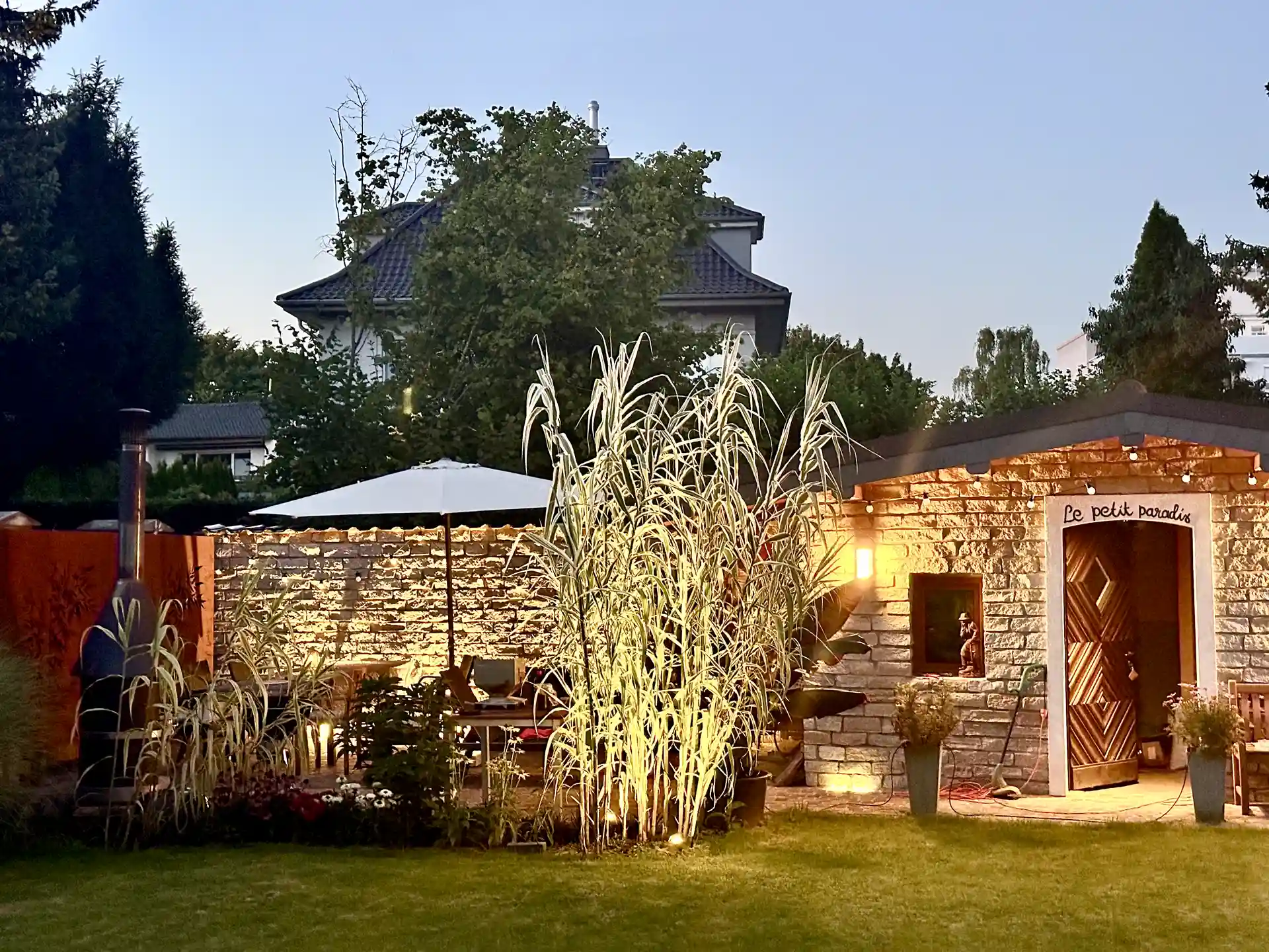 Pfahlrohr Arundo donax Variegata im Garten neben Terrasse und Steinmauer – dekoratives Ziergras mit hellgrünen Blättern.