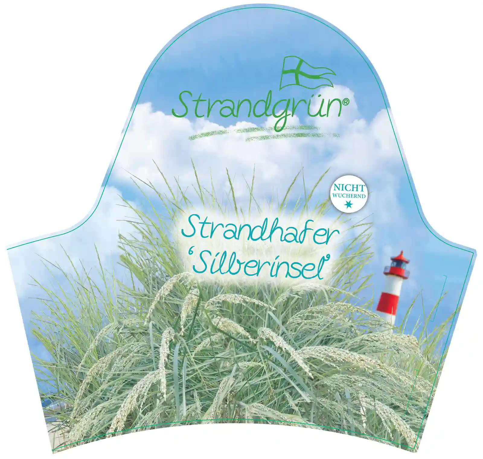 Pflanzenetikett Strandhafer Silber mit dekorativen Halmen am Dünenstandort.