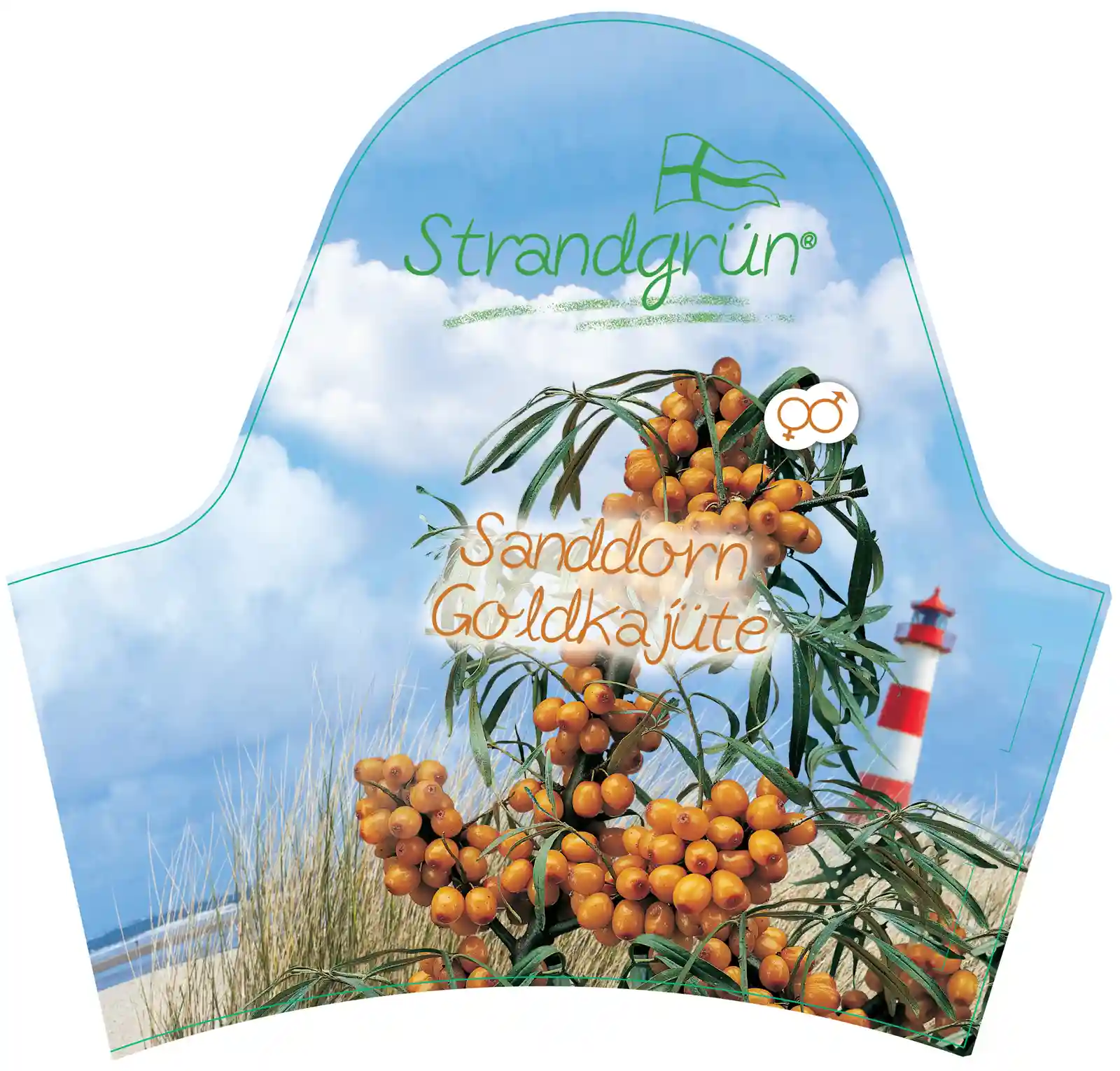 Pflanzenetikett Sanddorn Goldkönigin mit orangefarbenen Früchten und Küstenmotiv.