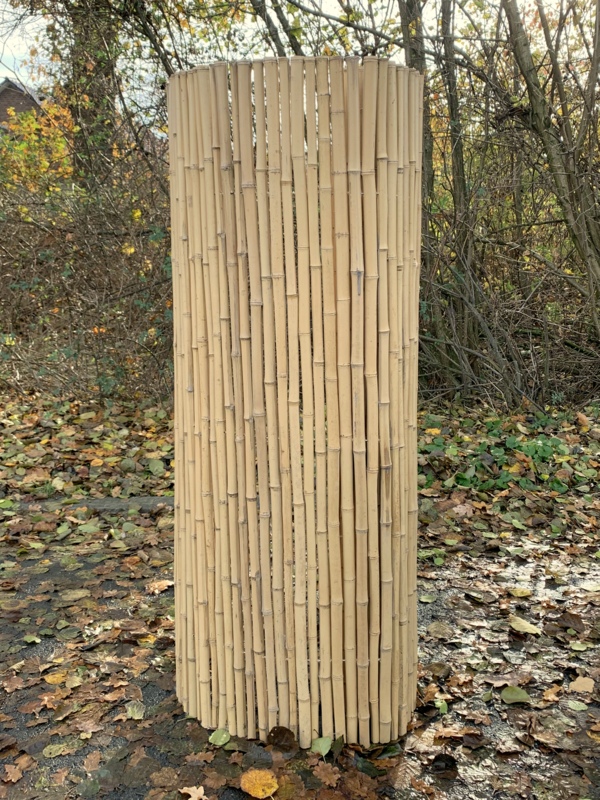 Bambusmatte hell