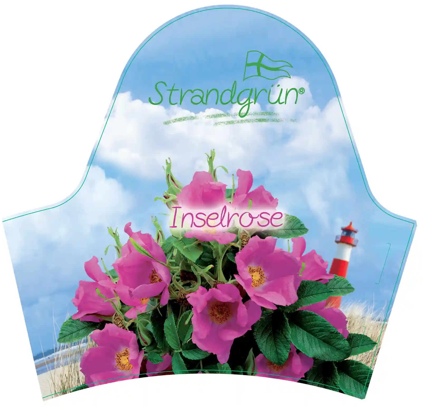 Pflanzenetikett Inselrose mit rosa Blüten und Küstenmotiv im Hintergrund.