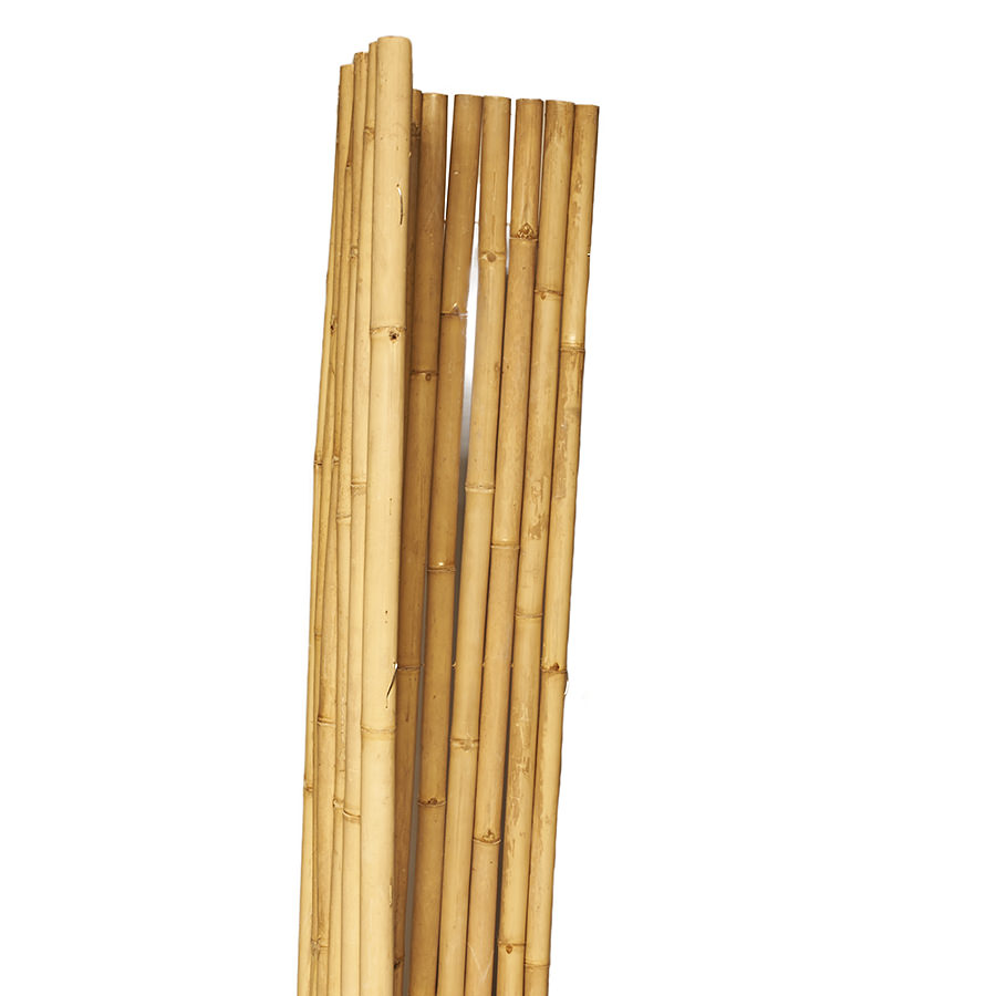 Apus Bambusrollzaun