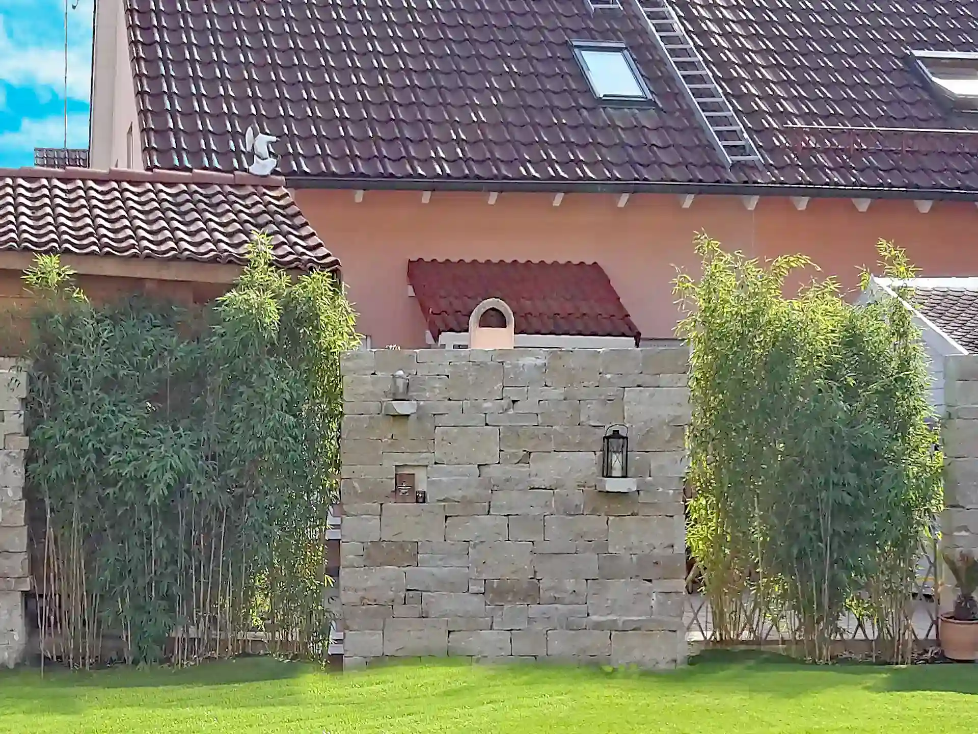 Bambus Fargesia 'Maasai' als natürlicher Sichtschutz vor Hauswand in Kombination mit Steinmauer - pflegeleichter Bambus für Vorgarten, Terrasse und Grundstückgrenzen.
