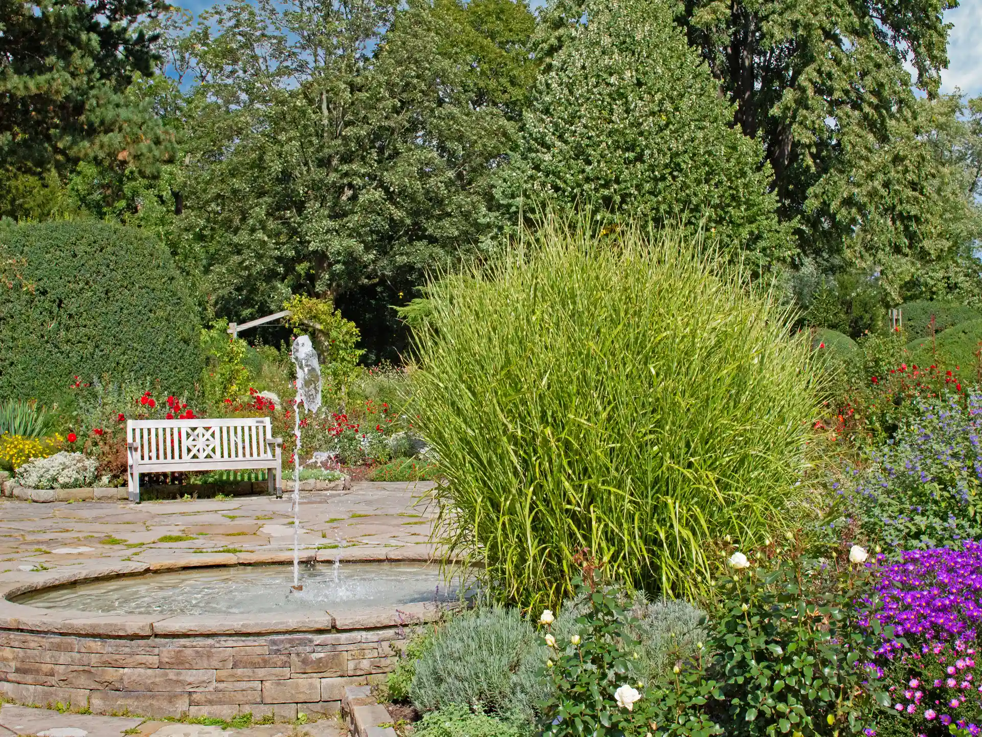 Miscanthus sinensis 'Strictus' mit gelb-grün gestreiftem, straff aufrechtem Wuchs in sommerlichem Gartenbeet.