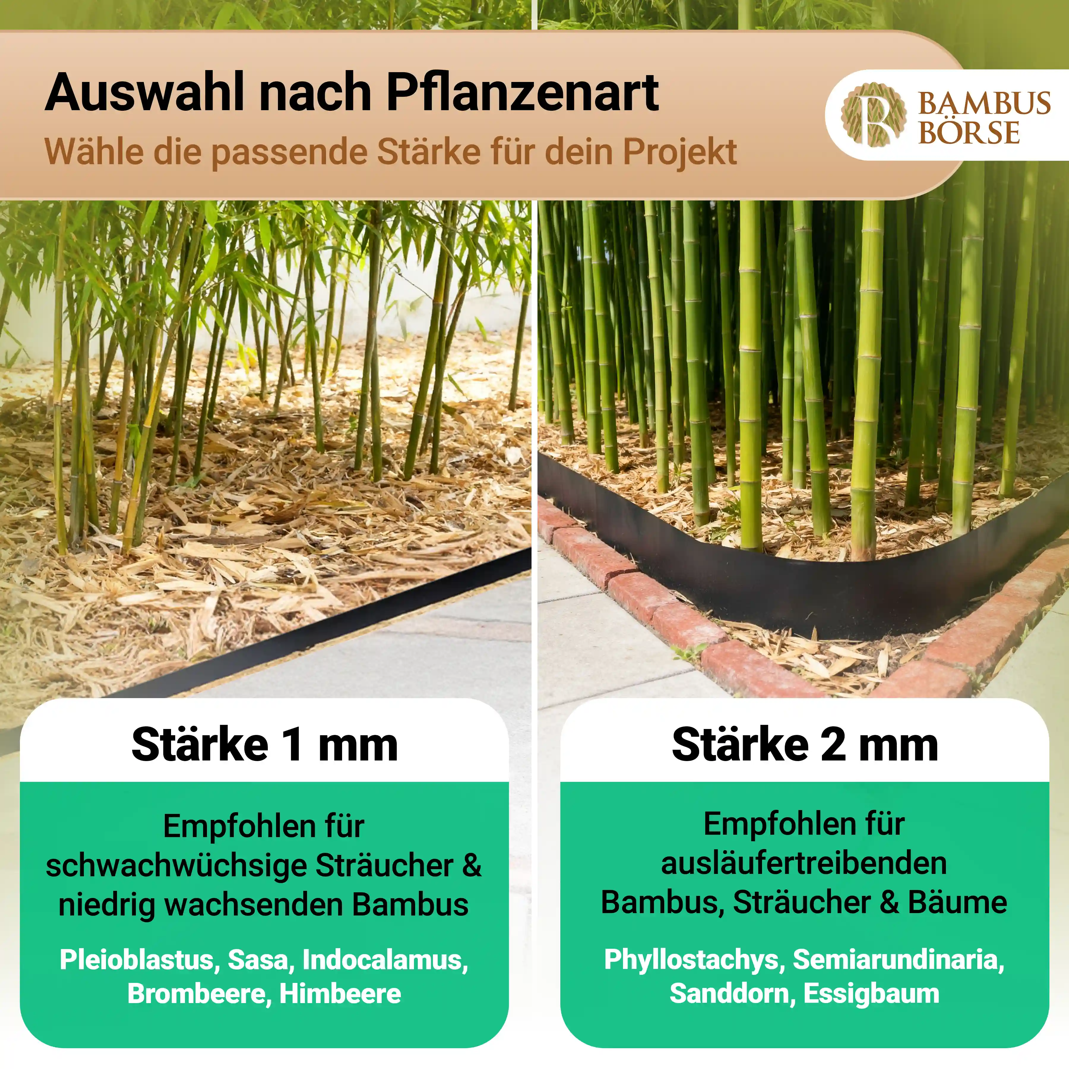Wurzelsperren für welche Pflanzen.