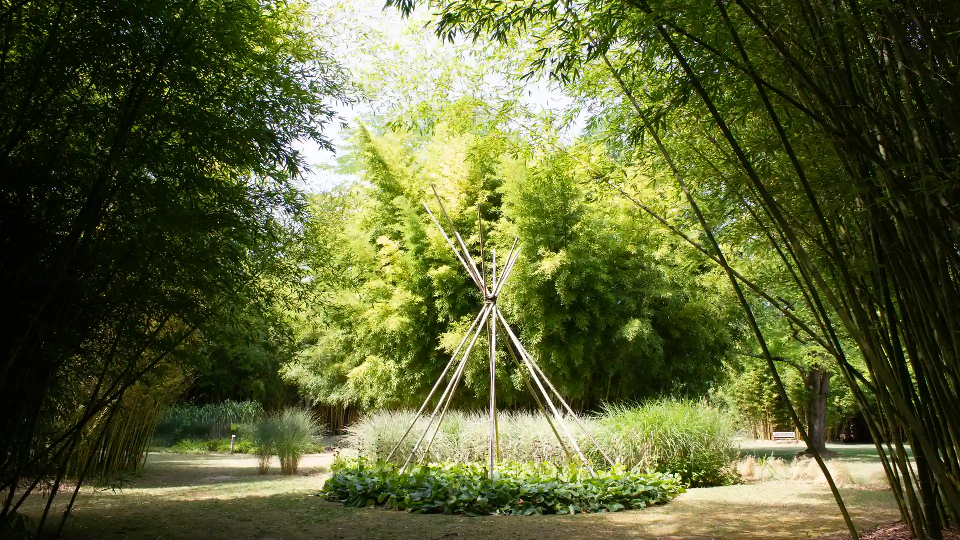 Parc aux Bambous 6
